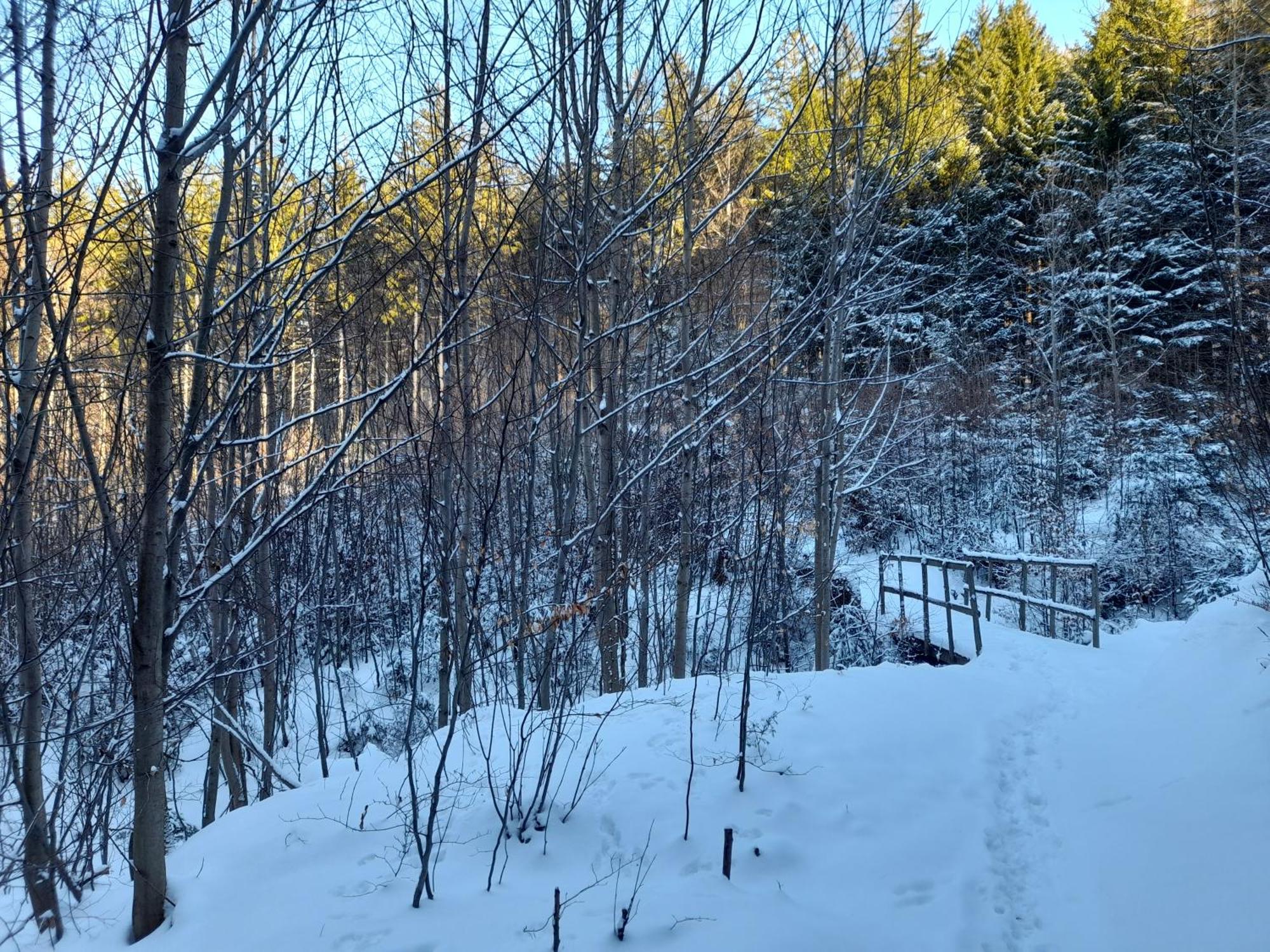 Ubytovani Na Namesti Nove Mesto pod Smrkem Exteriér fotografie